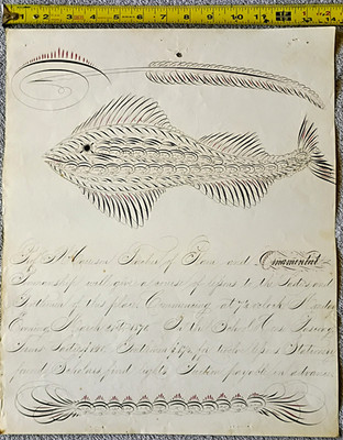Spencerian Ornamental Penmanship ~ Classes by Professor S.W. Harrison 1870 R.I.