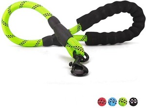 dog leash with 2 clips