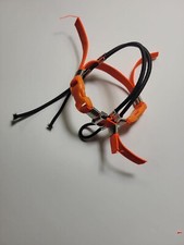 Elastic Harness Steel Buckles with Initial Letter Parrots All Breeds