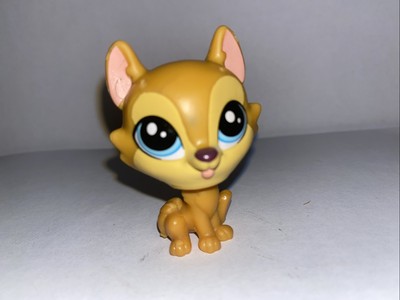 Hasbro 2016 Littlest Pet Shop LPS Hansamu Inu Shiba Inu #81 Blue Eyes Dog