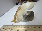 240g Natural crystal mineral specimens hand carved  lizard reiki healing — photo 1