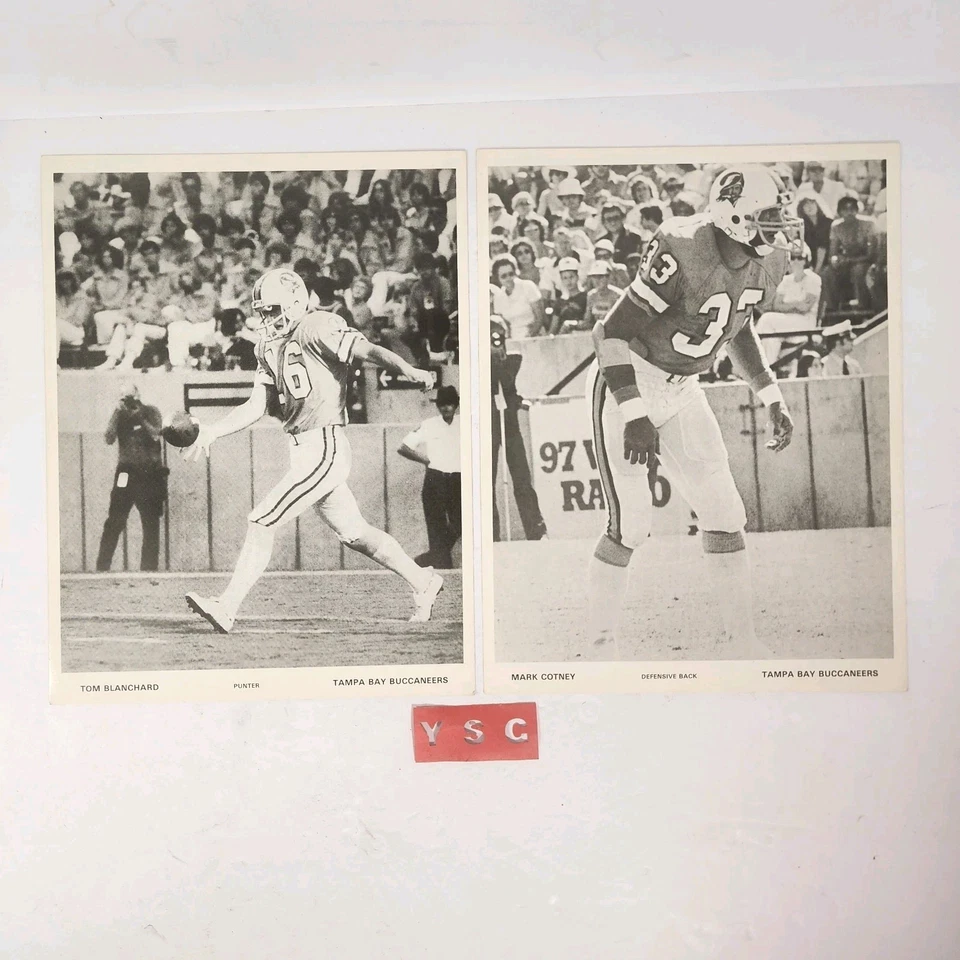 (24) Vintage Tampa Bay Buccaneers Promo Photos Official 8x11 '78 '79 Selmon  - Image 4 of 4