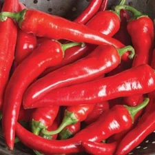 Cayenne Peppers 25 Count Organic