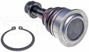 Upper Ball Joint Dorman Premium BJ81016XL - Bild 1 von 4