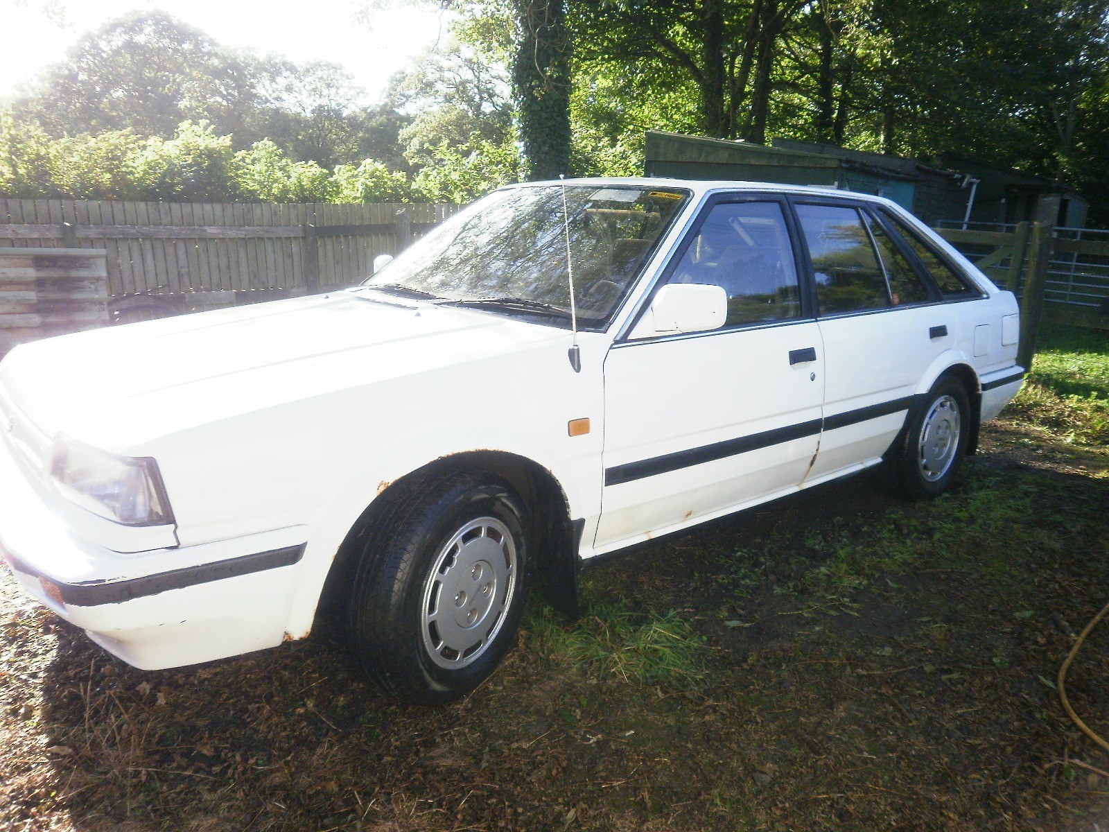 s-l1600.jpg