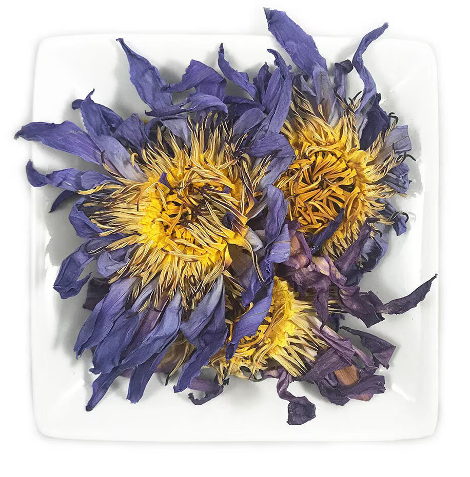 バレエ typeW grateful/checked flower smoke blue Dried Egyptian Blue Lotus Flowers Organic Nymphaea Caerulea