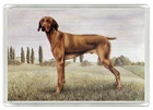 HUNGARIAN VIZSLA DOG FRIDGE MAGNET GREAT GIFT