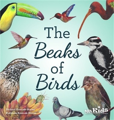 The Beaks of Birds (Paperback or Softback)