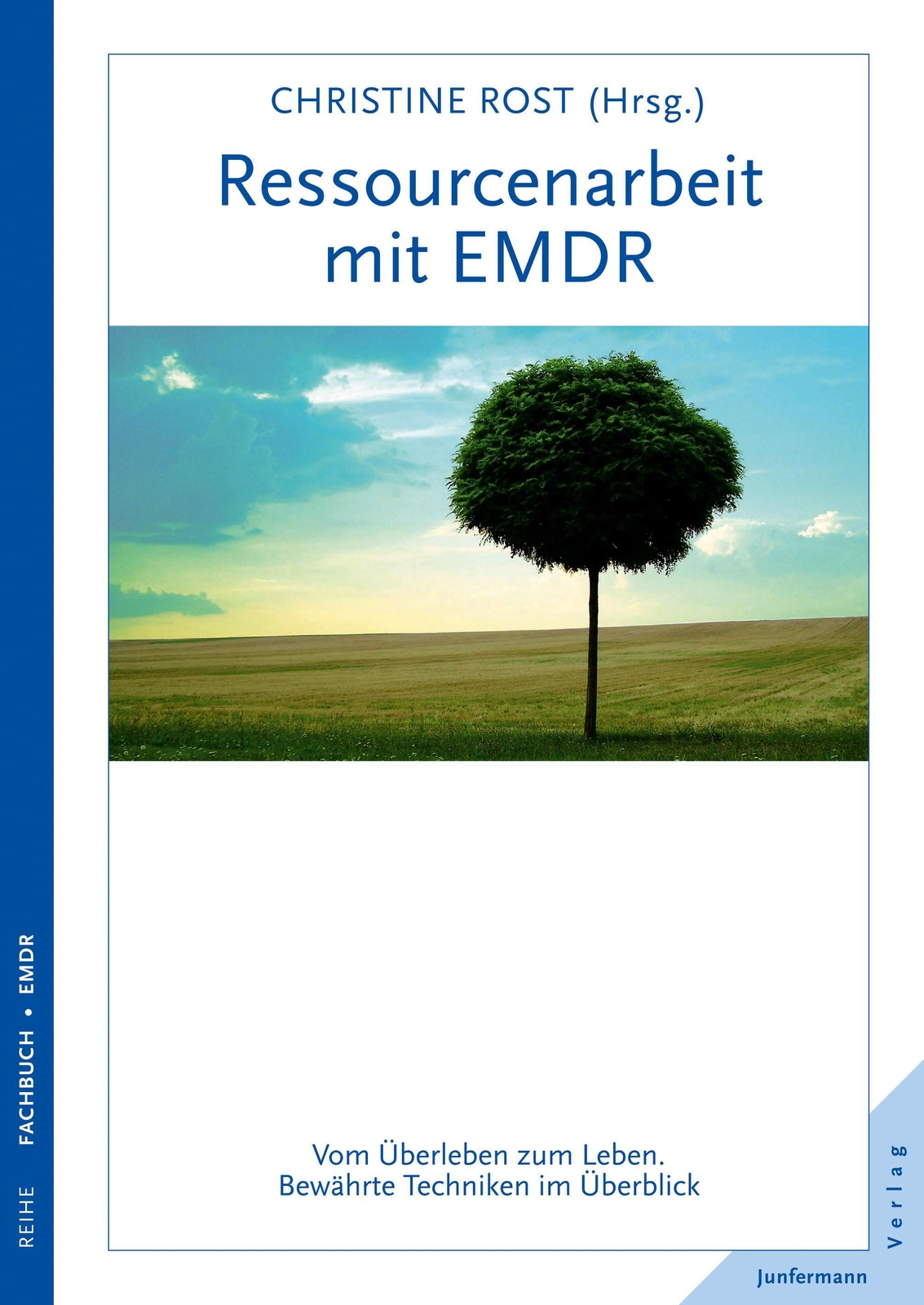 Thumbnail - Christine Rost | Ressourcenarbeit Mit Emdr | Taschenbuch | Deutsch