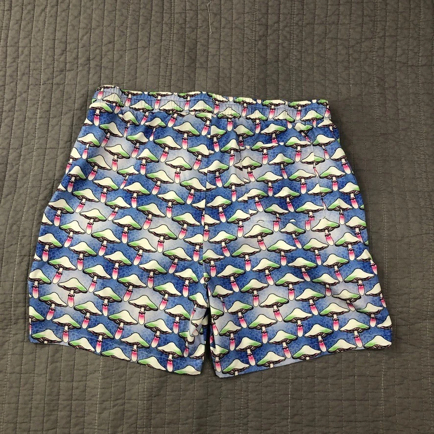 Baúl de baño WESC Board Shorts para hombre XL azul estampado de setas Festival de Suecia Foto 4 de 4