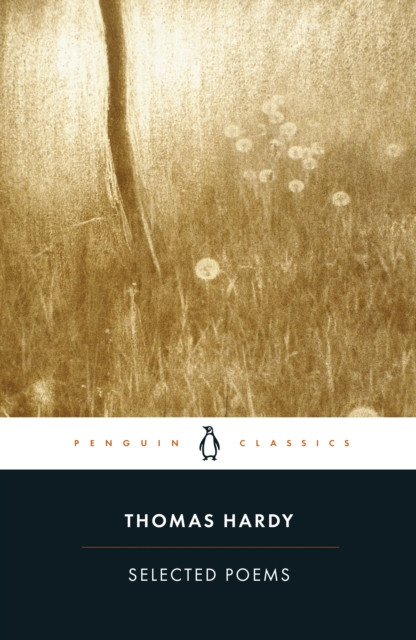 Selected Poems by Thomas Hardy (Paperback Book)