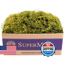 SuperMoss 27012 Spanish Moss Preserved, Chartreuse, 3lbs