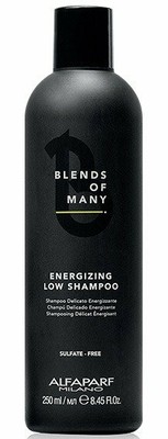 Alfaparf Blends Of Many Energizing Shampoo 250 ml