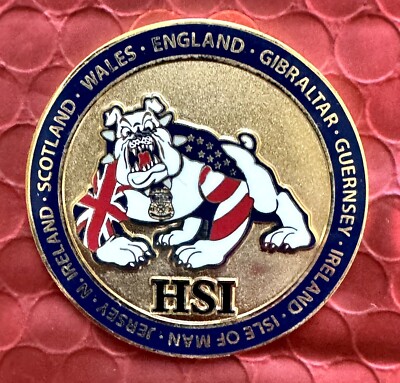  VERY RARE! HSI LONDON ENGLAND Coin ICE DEA FBI ATF CIA USMS USSS MSG