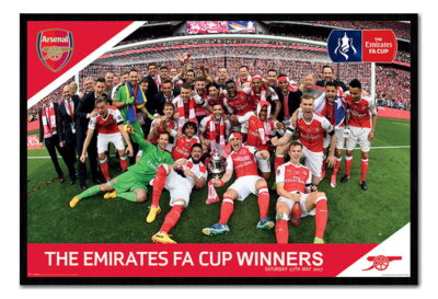 88945 Arsenal FC FA Cup Winners 2017 Cork Pin Decor Wall Print Poster