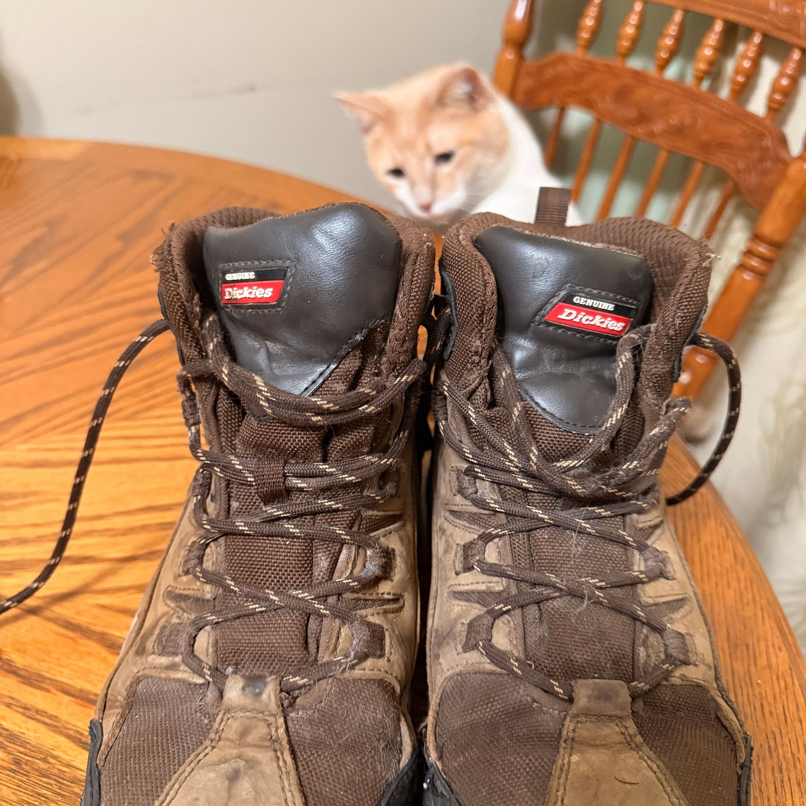 Dickies Mens Copperas Hiking Boots - image 5