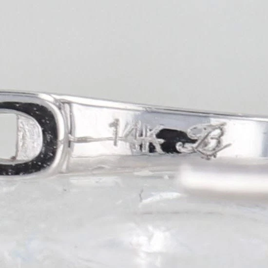 Pendientes colgantes con halo de aro de diamantes de 0,31 quilates de oro blanco de 14 k con tapa a presión Foto 4 de 4