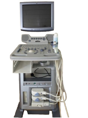 GE Logiq P5 Ultraschallgerät mit 2 Sonden Super Zustand von 2011 + EKG Anschluss