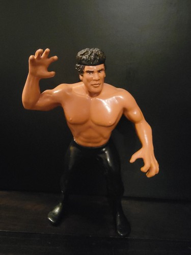 Ricky The Dragon Steamboat 1986 WWF LJN Titan Spor...