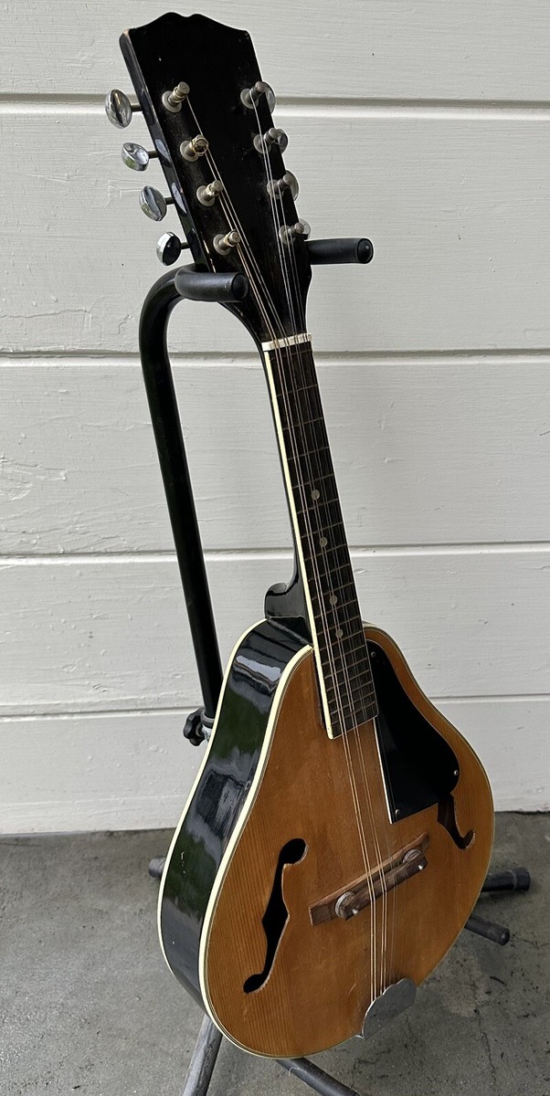 Gibson マンドリン 1916年　ハードケース付き 1916 Gibson A-4 Carved-top Mandolin