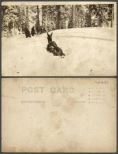 VINTAGE POSTCARD TOPIC: Horses RPPC Real Photo