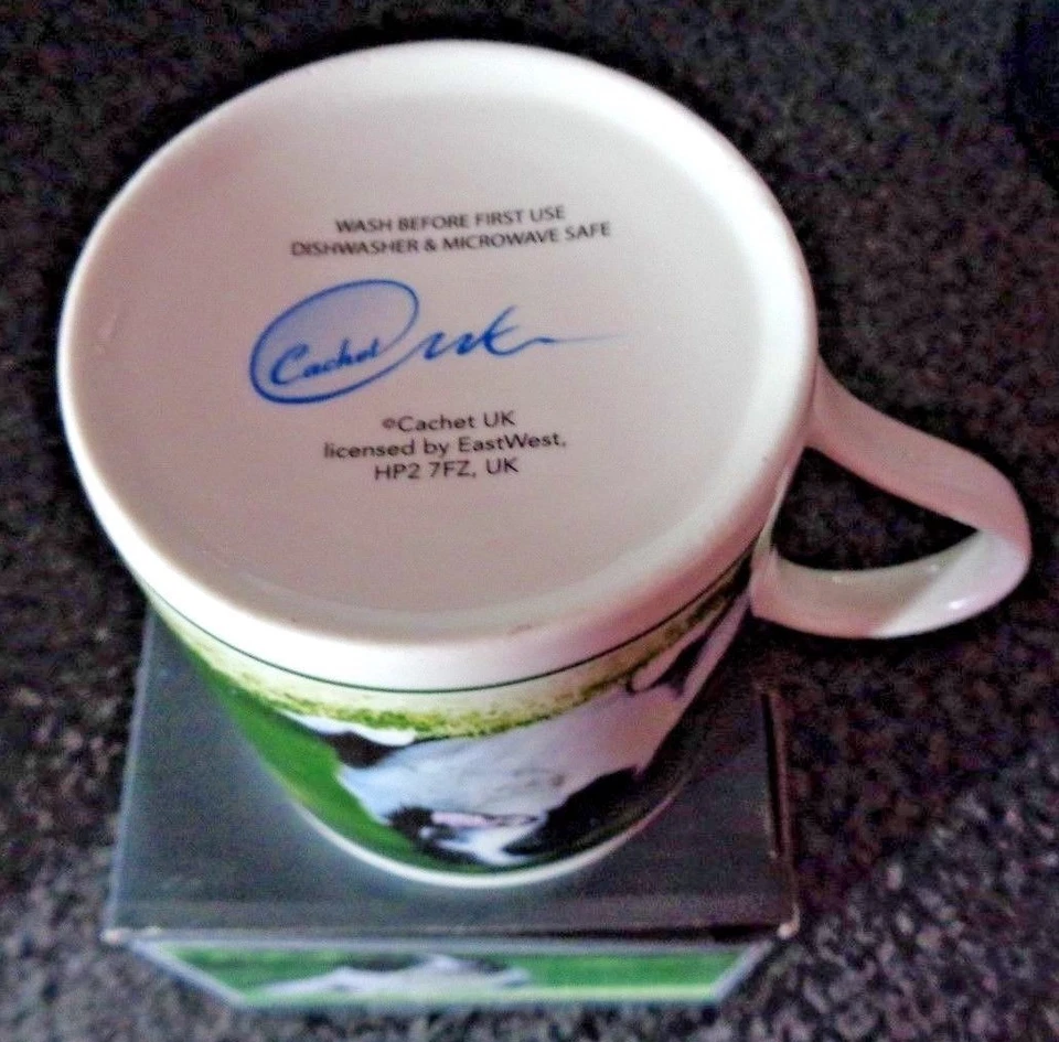 Cachet Fine China Mug Black And White BORDER COLLIE BNIB - Image 4 of 4