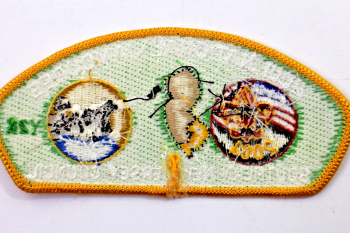 2001 National Jamboree JSP Southern New Jersey Council Y2k Patch - Picture 5 of 5