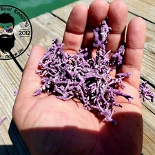 1lb Coralline Crushed Coral Substrate- Calcium Reactor Media, Frag Media 