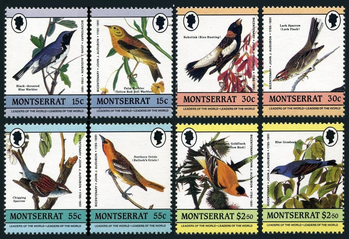 Montserrat 580a-583b, MNH. Mi 597-604. Audubon's birds 1985