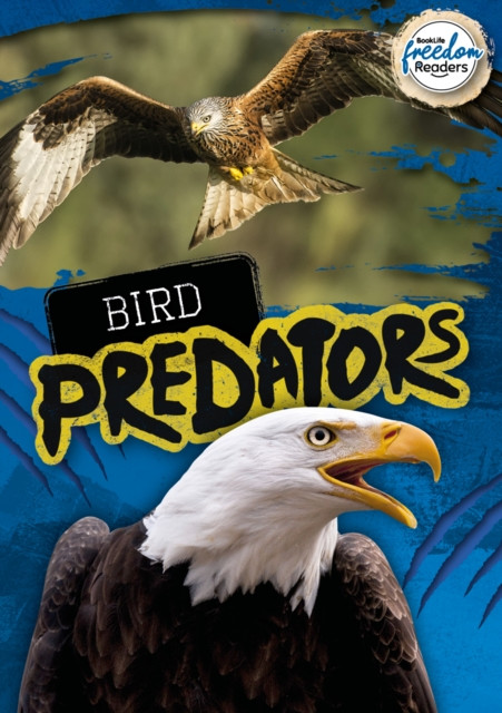 Bird Predators by Mignonne Gunasekara (Paperback Book)