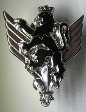 ALAT 6 Régiment d'Hélicoptéres de Combat RHC Insigne Drago G 1904  FS