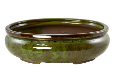Oval Glazed Bonsai / Cactus & Succulent Pot + Mesh 12''x 8.5''x 3.75'' - Moss Green