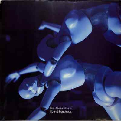 Sound Synthesis / HUM OF HUMAN DREAMS (2LP) / Furthur Electronix / FE077 / 2x12
