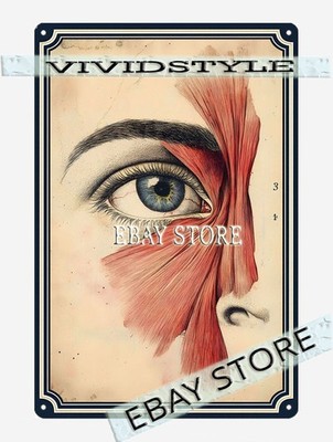 Eye Muscles Metal Poster Metal Tin SignHuman Face Study Chart