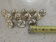 12 Vintage Ajax Provincial 994 White Brass Gold Handle Pull Cabinet Knobs 1 1/4”