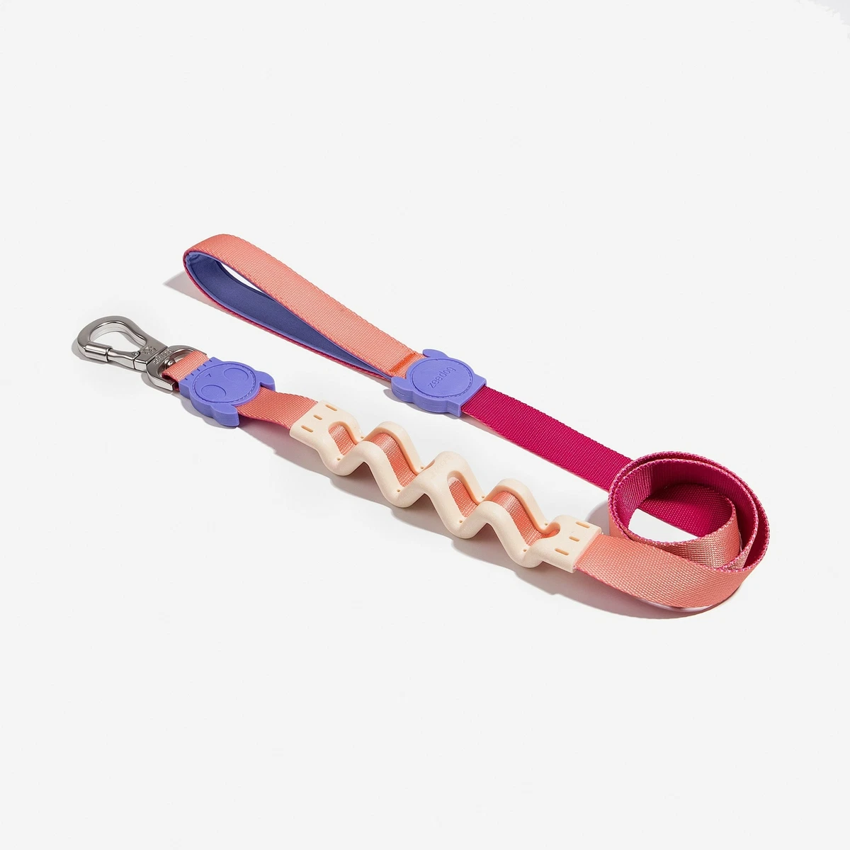 Zee dog top ruff leash
