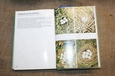 Fach Vogelkunde Beobachtung Ornithologe Bestimmung Eier Nester 1000 V&ouml;gel
