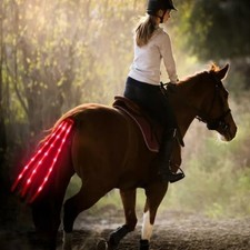 Rechargeable LED Safety Flashing Tail Guard