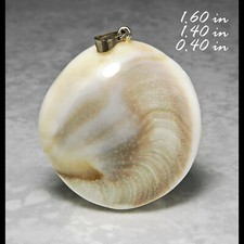 Shiva Shell Auge Von St.Lucia Cabochon Kristalle Mineralien Edelsteine