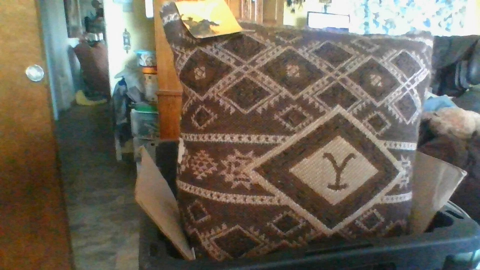 NWT Yellowstone Woven Jacquard Pillow LARGE 20 x 20inches COW SKULL Darby Stripe - Image 4 of 4