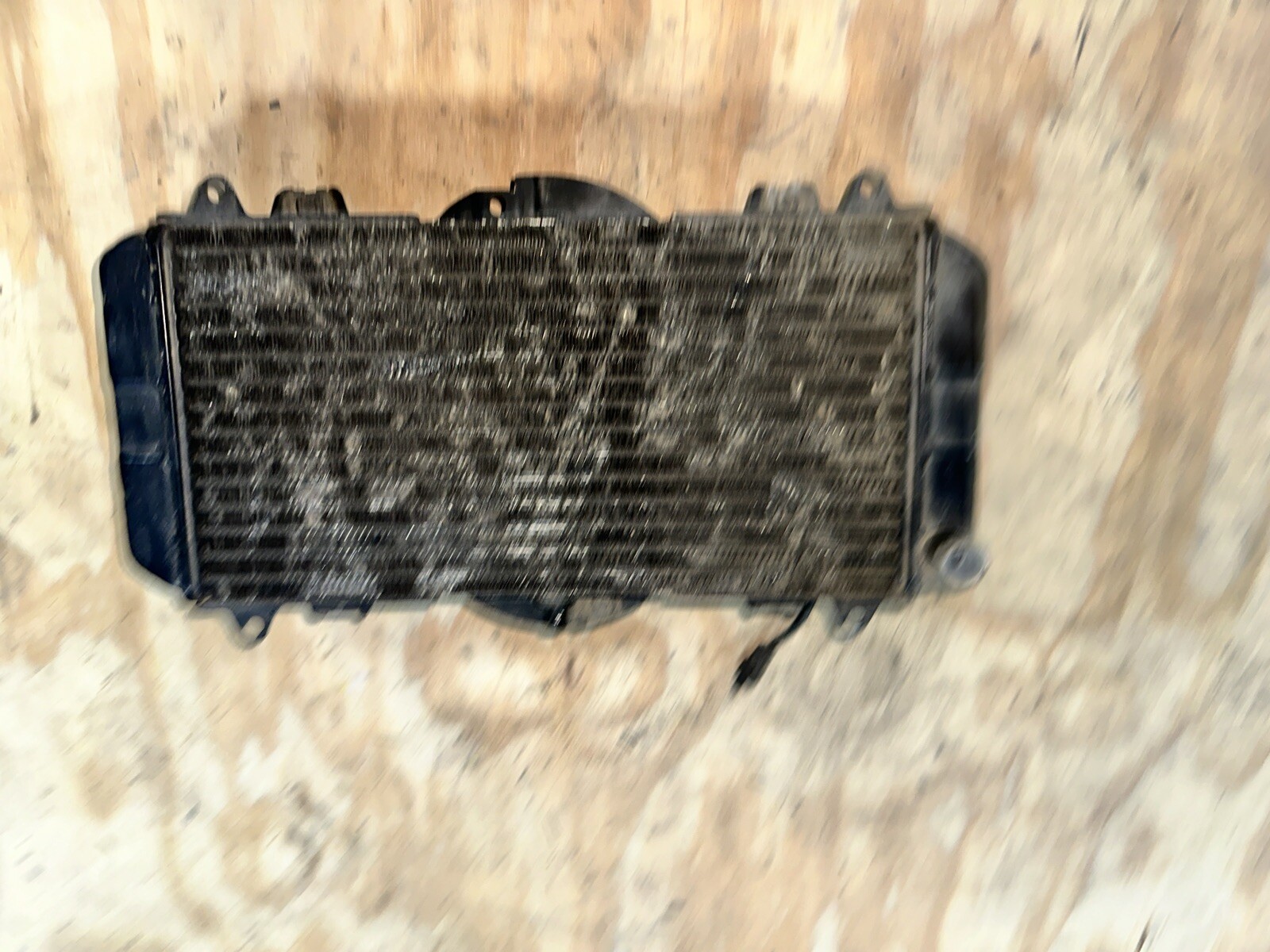Picture 5 of 5