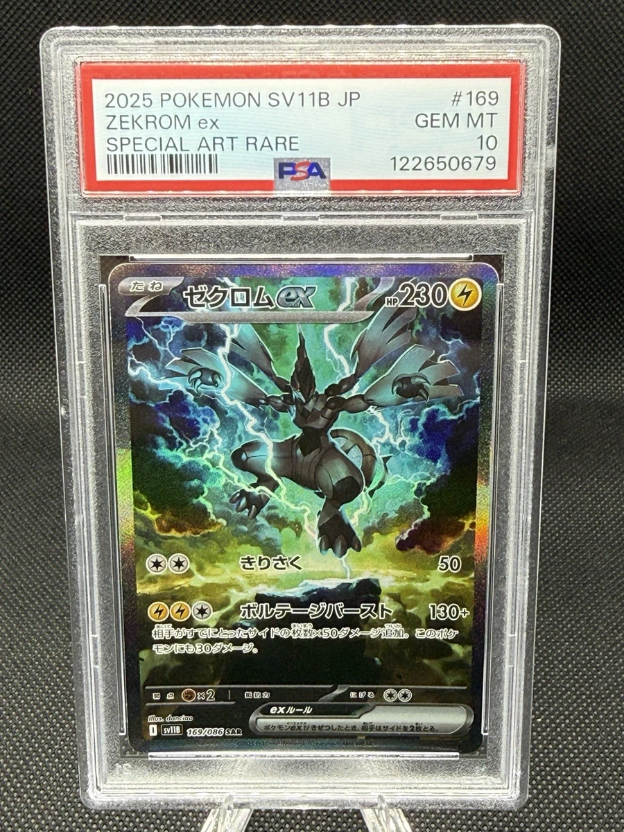 25+ Zekrom Pokémon TCG Professional Sports Authenticator (PSA