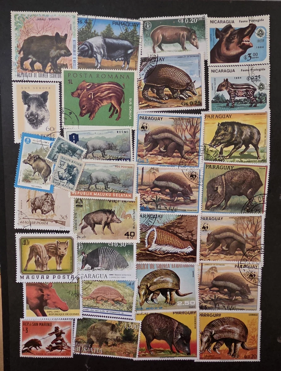 wild animals products for sale | eBay
