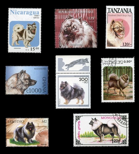KEESHOND DUTCH DOG INTERNATIONAL POSTAGE STAMPS collection of 8 diferent