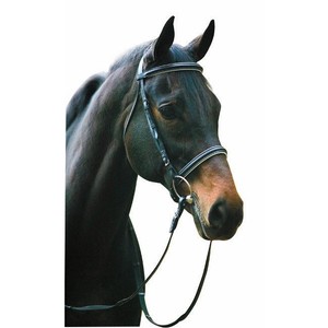 Henri-de-Rivel-Dressage-Bridle-with-Padded-Flash-Cavesson-and-Web-Reins