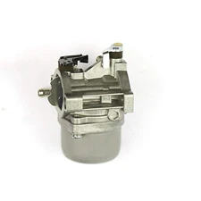 OakTen Carburetor for Briggs & Stratton 590399, 796077