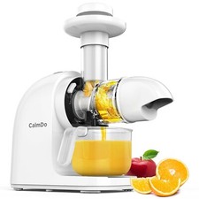 Entsafter Saftpresse Slowjuicer Fruchtpresse 70U/min 140W NEU