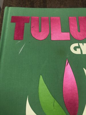 Tulum Gypset by Julia Chaplin *Signed* | eBay