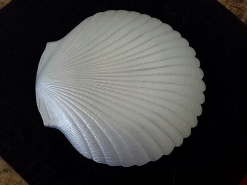 SHELL SHAPED PEARLISED DISH VERY PRETTY - Picture 3 of 7