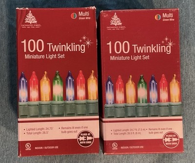 100 Multicolor Incandescent Twinkling Party/Christmas Lights 2 Boxes. In/Out